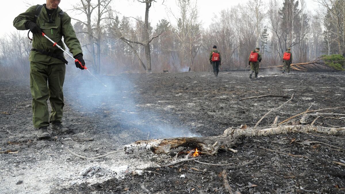 Firefighters in the Trans-Baikal Territory are extinguishing a forest fire