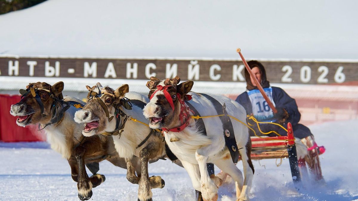 The 11th Yugra Governor Cup Professional Display Competition among Reindeer Breeders kicks off in Khanty-Mansiisk