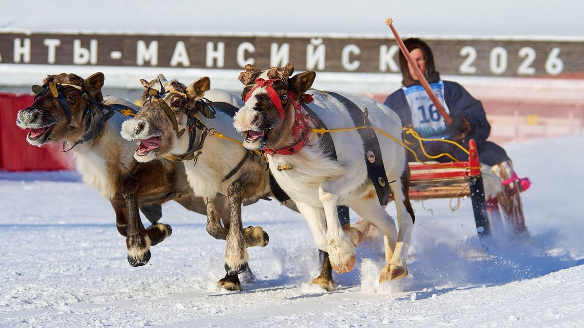 The 11th Yugra Governor Cup Professional Display Competition among Reindeer Breeders kicks off in Khanty-Mansiisk