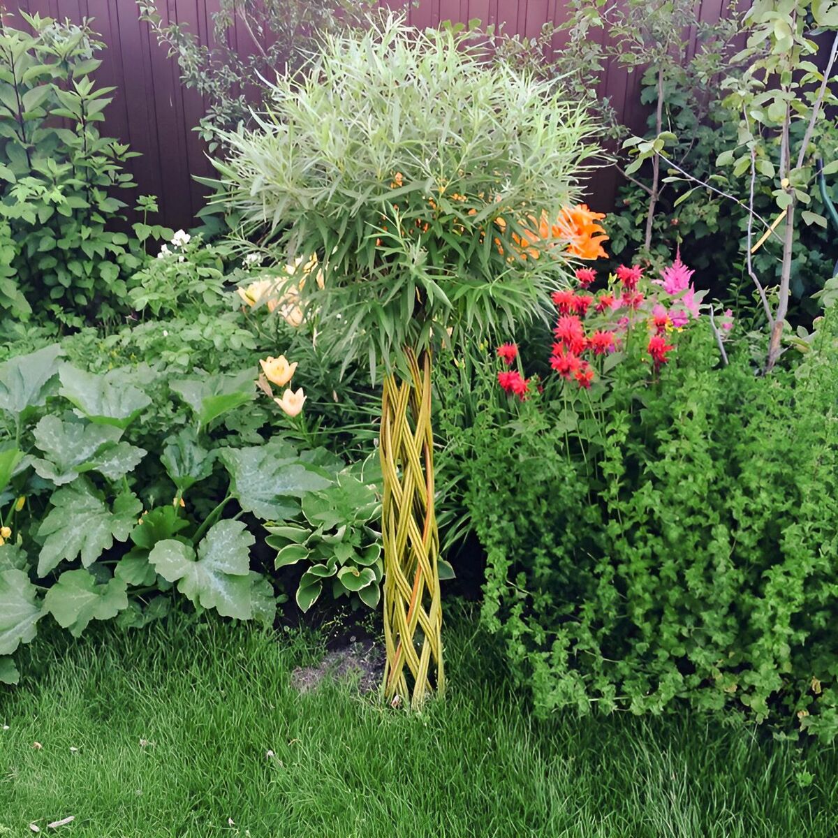The North Palm Tree made of willow