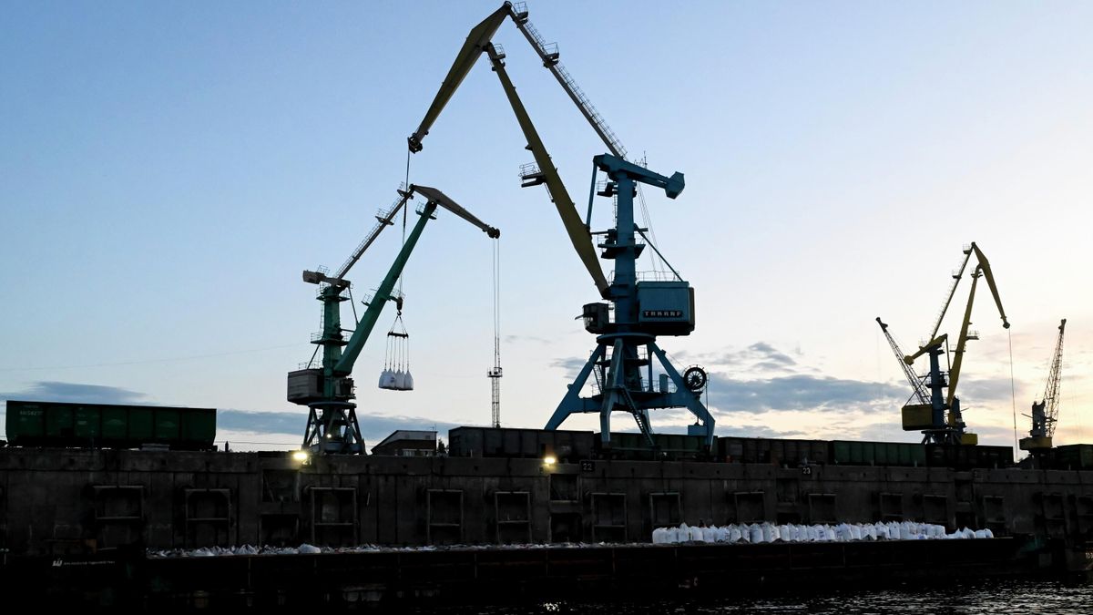 Port cranes at a freight terminal