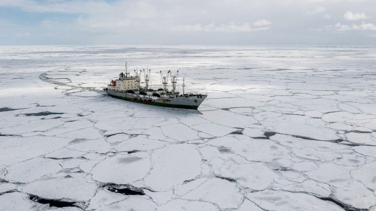 Транспортный рефрижератор в Охотском море