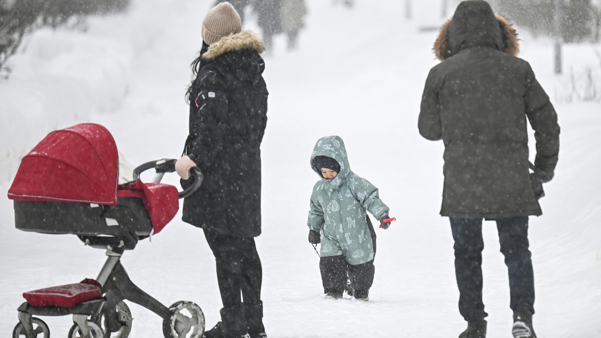 Parents and their children take a walk