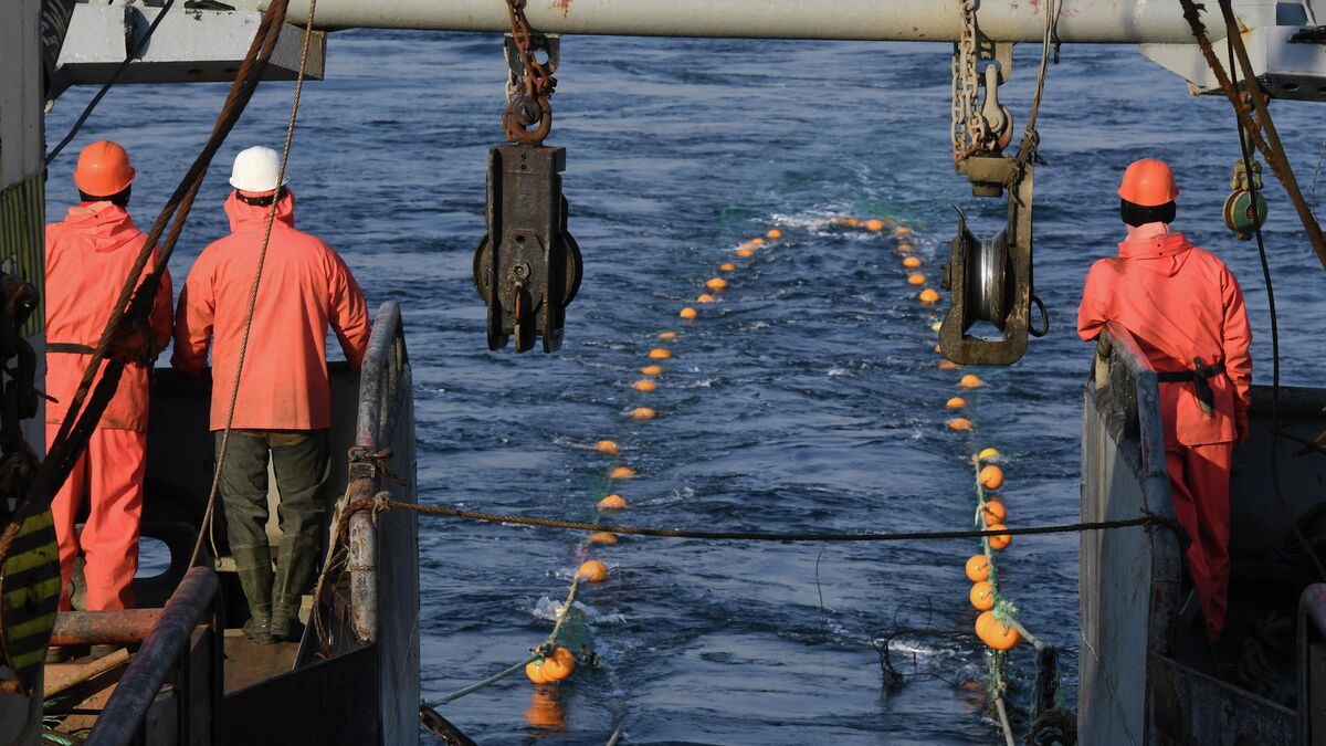 The deck crew of the seiner/refrigeration trawler Plastun hauls in a trap net off the coast of Vladivostok