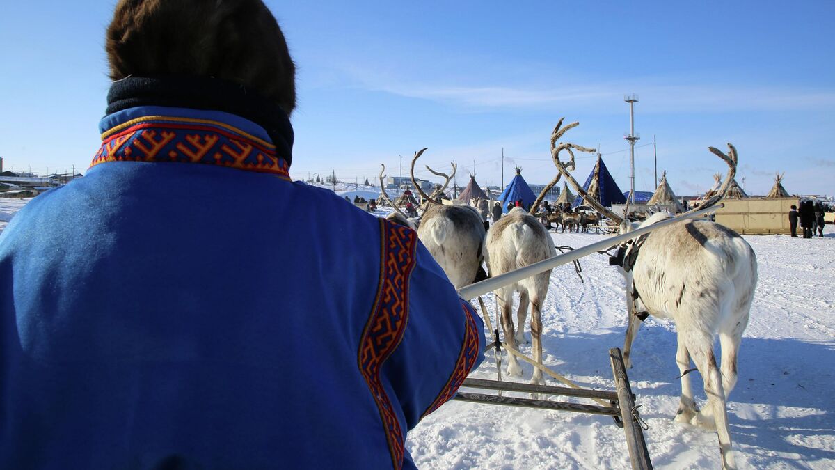 A Nenets herder and his reindeer on Reindeer Day 2026 in Tazovsky 