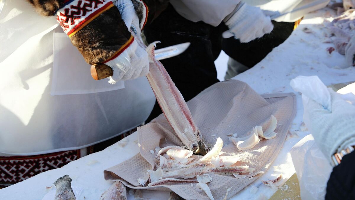 Participants in the Khalyako stroganina contest 
