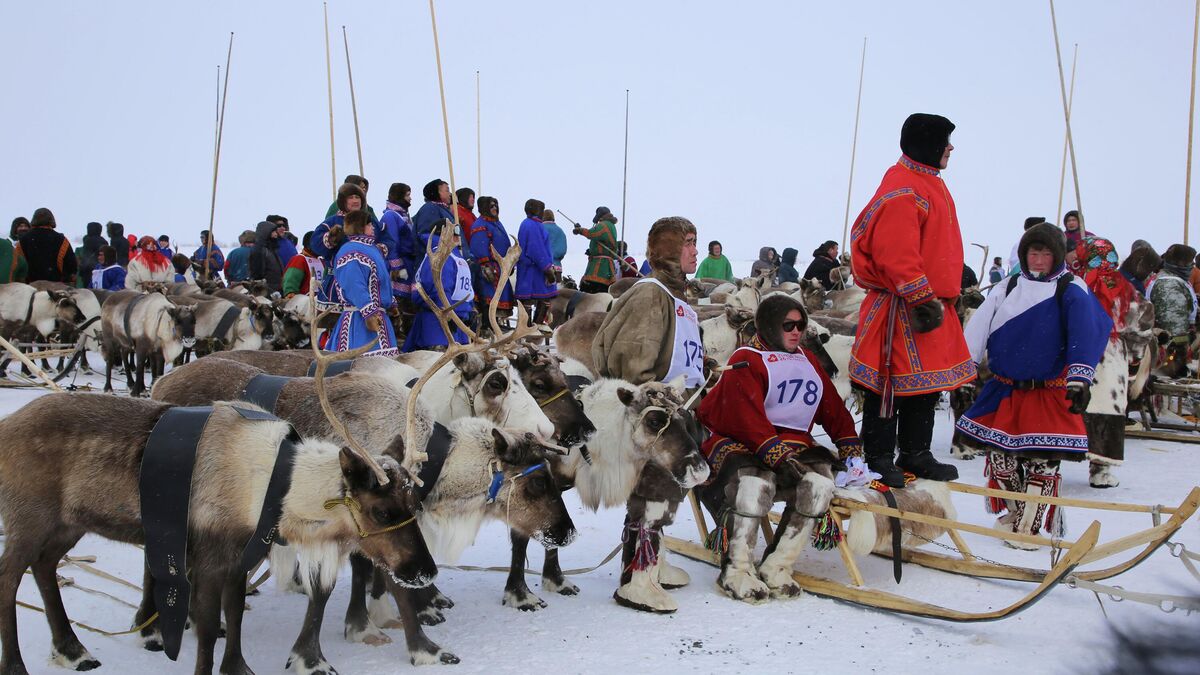 Participants in the reindeer sled racing competition on Reindeer Day 2026 in Tazovsky 