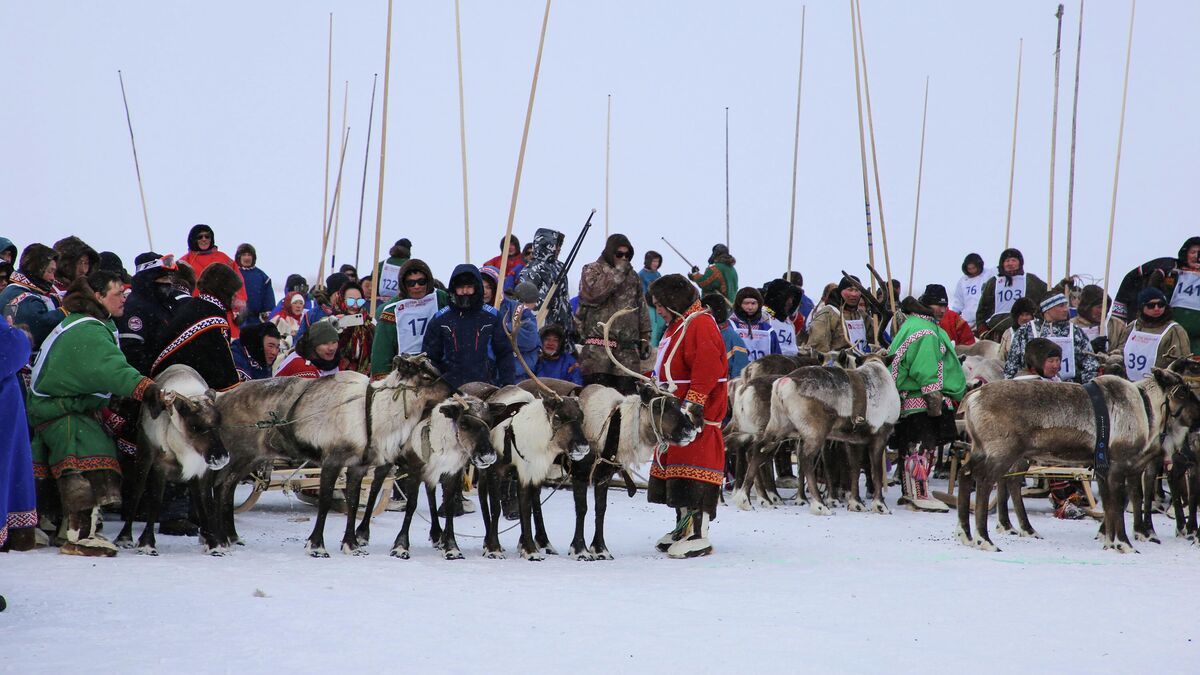 Participants in the reindeer sled racing competition on Reindeer Day 2026 in Tazovsky 