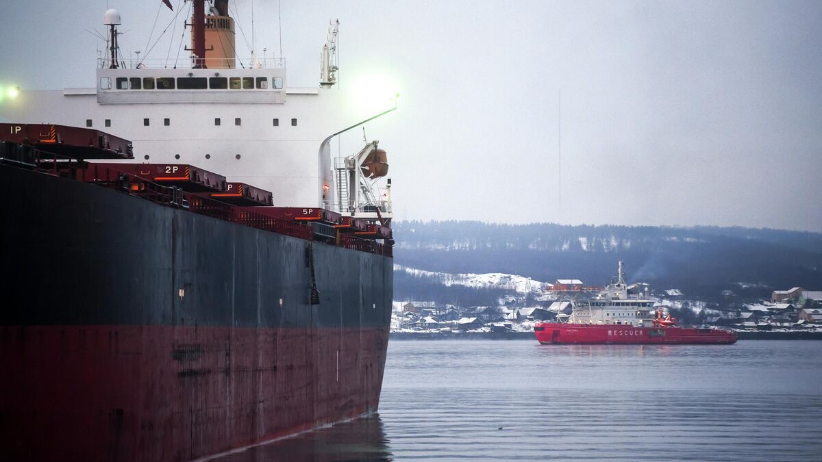 Seagoing vessels at the Murmansk commercial seaport