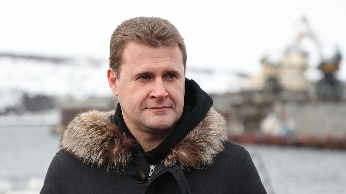 Министр РФ по развитию Дальнего Востока и Арктики Алексей Чекунков 