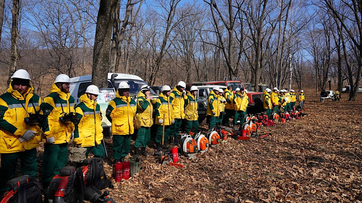 Primorye Territory’s joint taskforce for protecting forests from wildfires