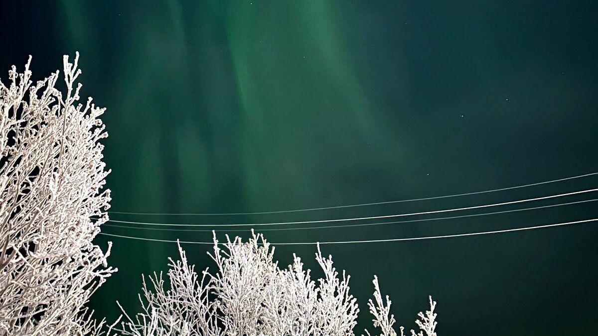 Northern Lights above the village of Tazovsky
