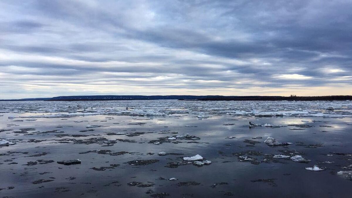 Река Лена во время ледохода