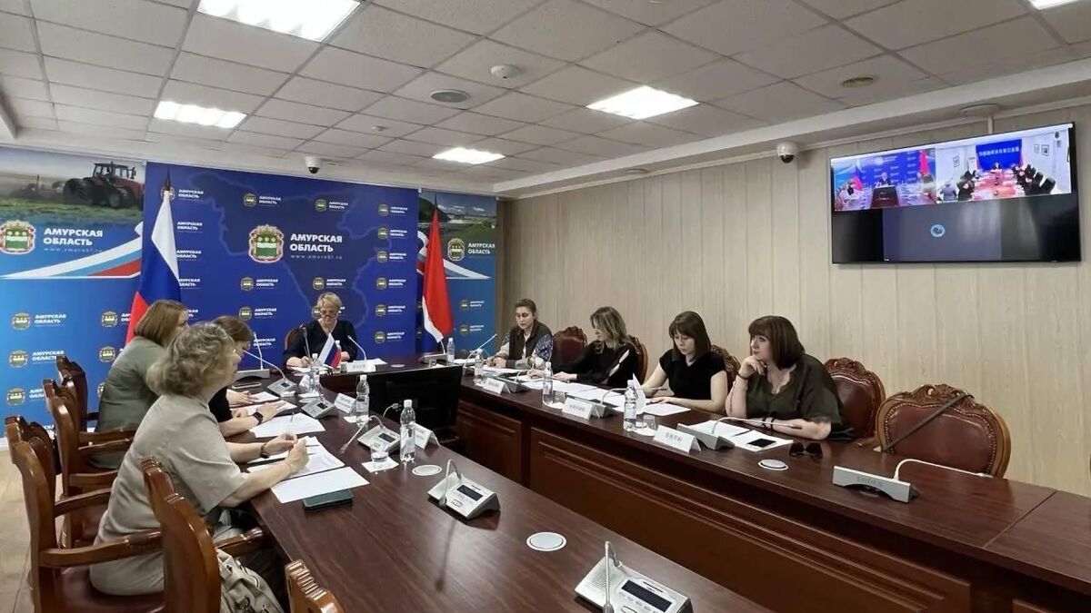 Talks between the Amur Region and Heilongjiang Province delegations