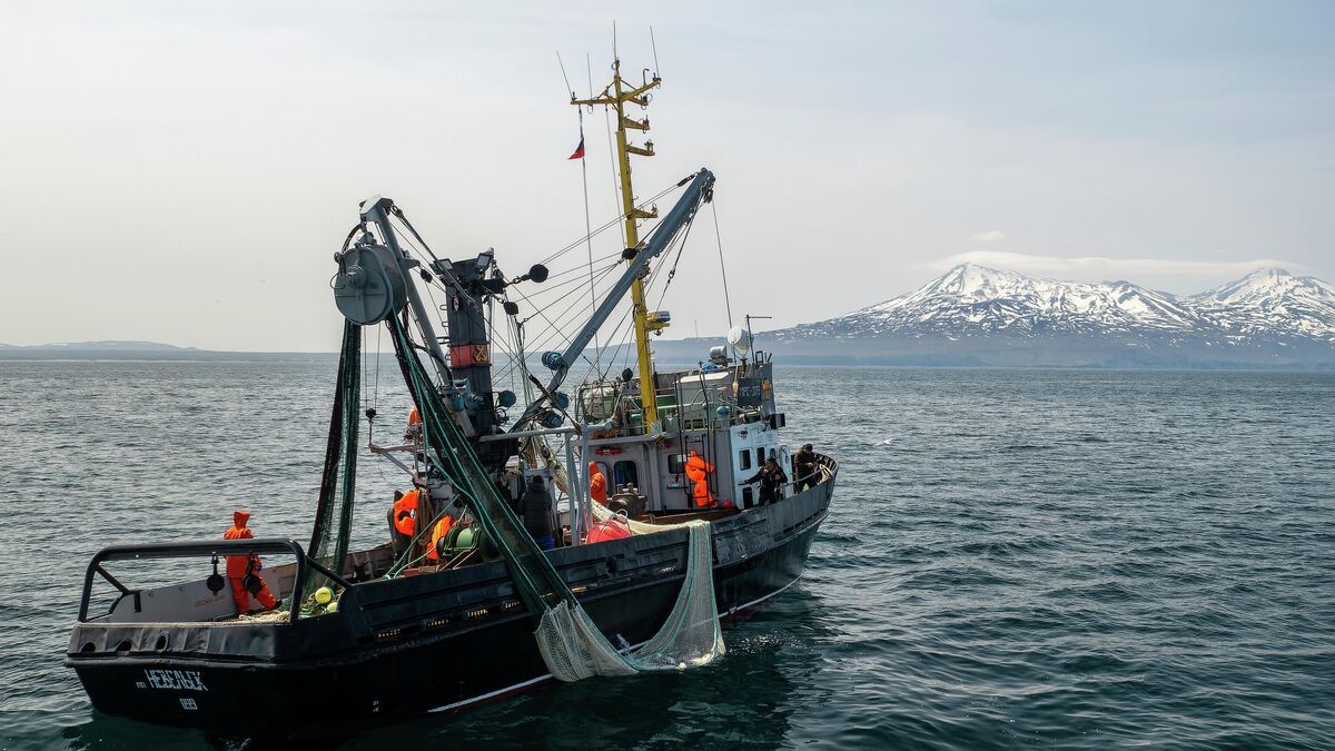 Fishing vessel in the Sea of Okhotsk