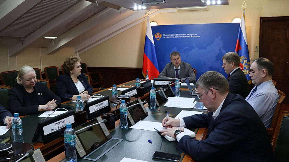 The meeting of the Public Council of the Ministry for the Development of the Russian Far East and Arctic
