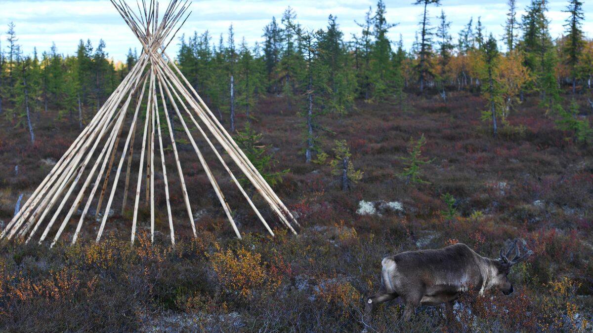 Experts from indigenous small-numbered peoples’ communities to build chums for young families in Yamal