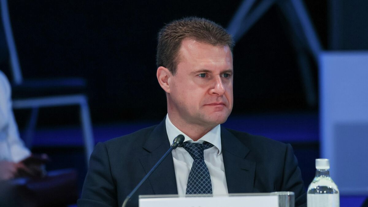 Minister for the Development of the Russian Far East and Arctic Alexei Chekunkov
