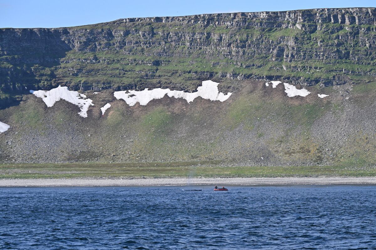 Petya the whale near Kildin Island
