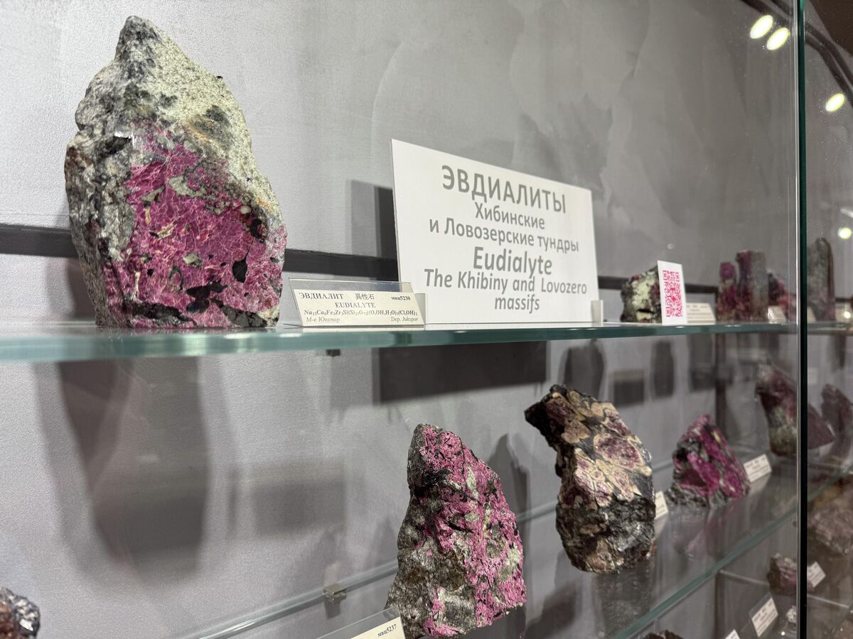 Eudialyte specimens on display at the Apatit Museum and Exhibition Center