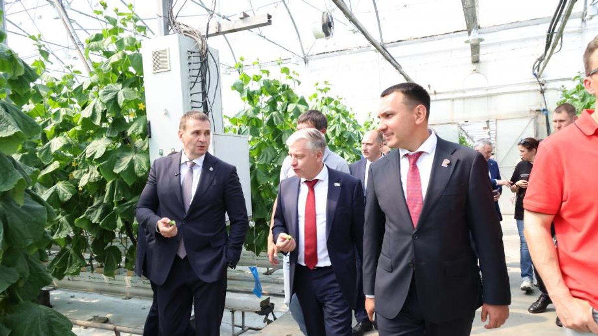 Khabarovsk Territory Governor Dmitry Demeshin visits a greenhouse of the Vostok agricultural facility in Komsomolsk-on-Amur