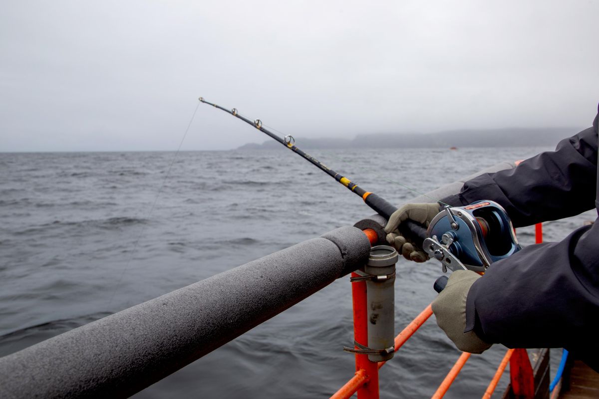 Fishing in the waters of the Barents Sea