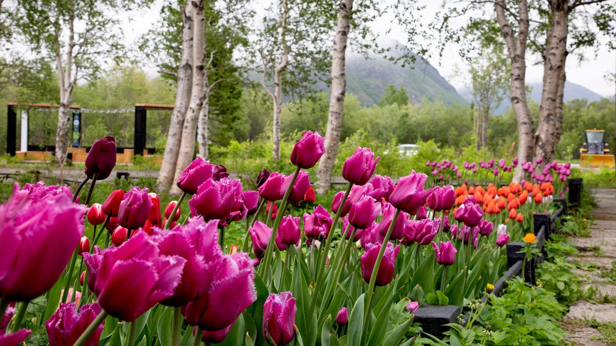The Polar Alpine Botanical Garden and Institute 
