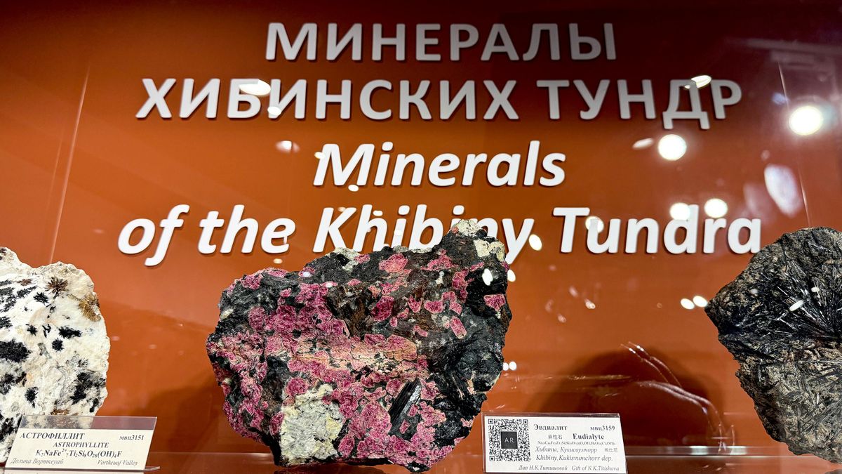 A collection of Khibiny tundra minerals at the Apatit Museum and Exhibition Center 