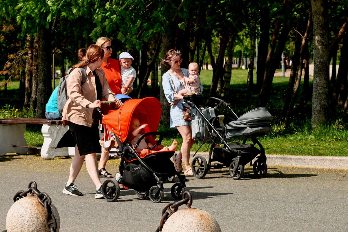 Women with children take a walk in the park Women with children take a walk in the park