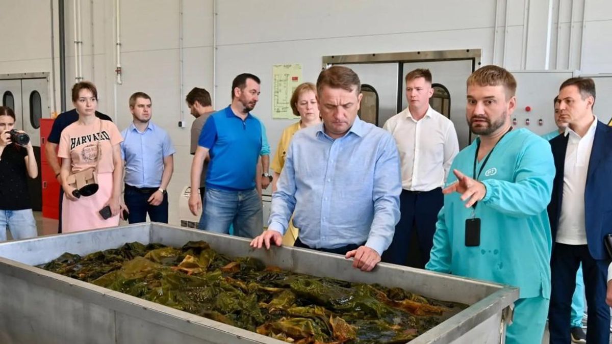 Opening an algae-processing plant in Karelia 