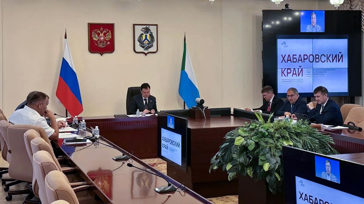 Meeting of a working group of the Government of the Khabarovsk Territory for drafting a new regional development strategy Meeting of a working group of the Government of the Khabarovsk Territory for drafting a new regional development strategy