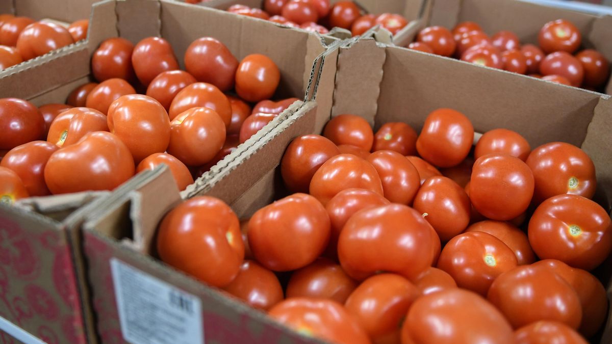 Boxes with vegetables in a warehouse