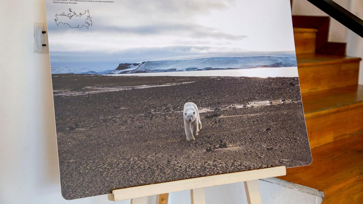 Фотовыставка Северный морской путь: 500 лет покорения Арктики