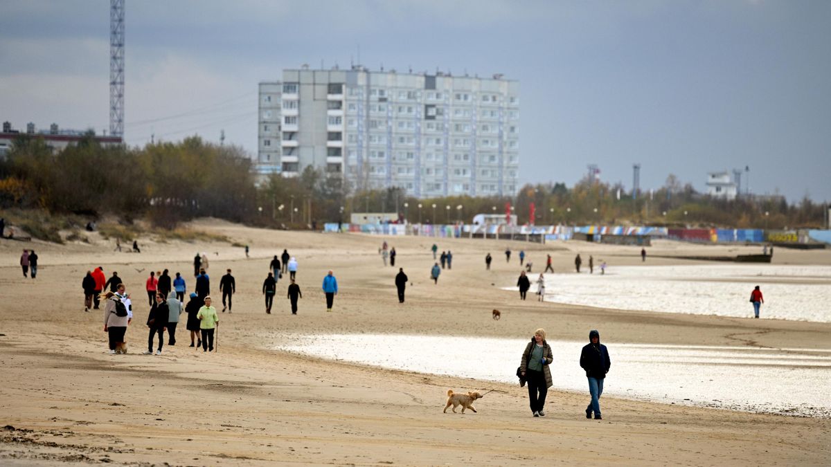 Tourists enjoy a walk along the White Sea coast on Yagry Island in the Arkhangelsk Region