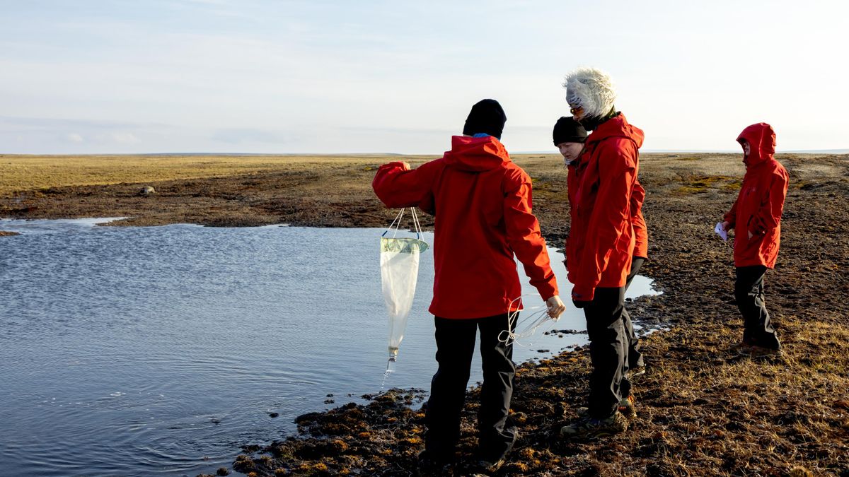 Participants of the 2025 Great Arctic Expedition collect samples for research