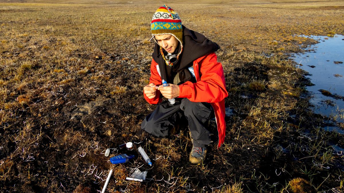  A participant of the 2025 Great Arctic Expedition collects samples for research