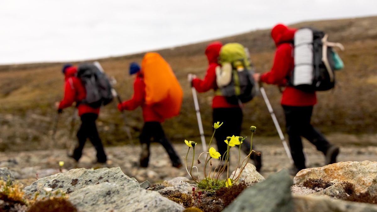 Participants of the 2025 Great Arctic Expedition collect samples for research