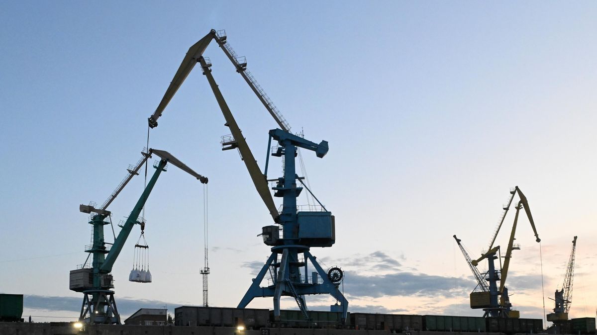Port cranes 