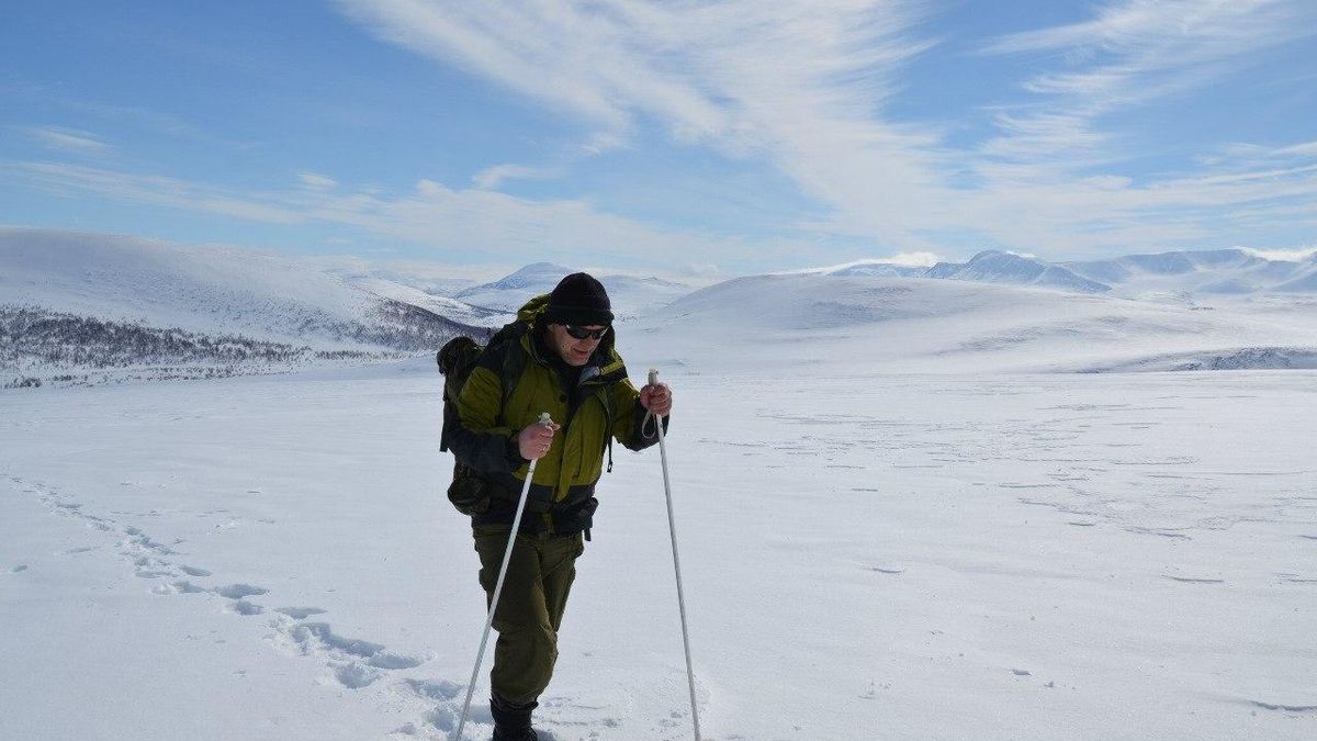 Ascension to Mount Pendirmape, Polar Urals, 2014.