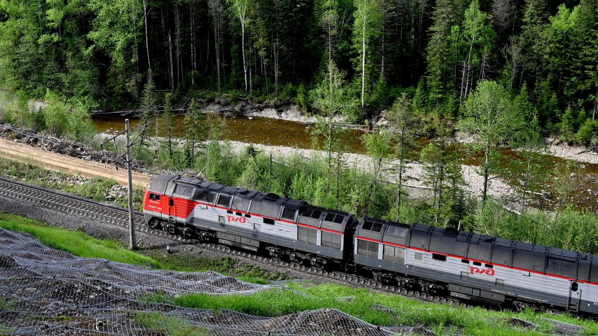 A train on a stretch of the Baikal-Amur Mainline