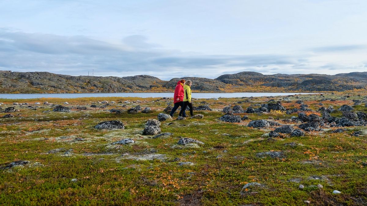 Tourists walk through the fall tundra on the Kola Peninsula