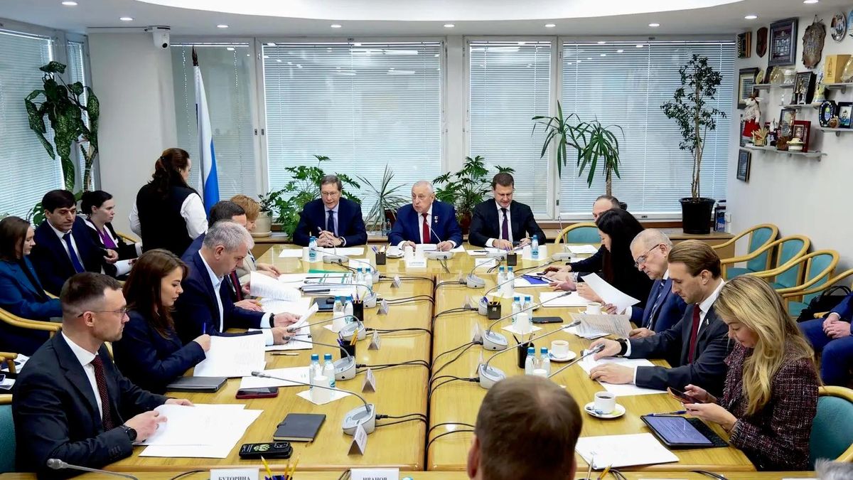 Meeting of the State Duma Committee on the Development of the Far East and the Arctic